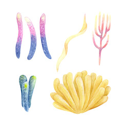 Colorful watercolor corals and sea plants in pink, yellow, green, and blue tones. Perfect for ocean-themed decorations, children&rsquo;s books, invitations, and underwater designs.