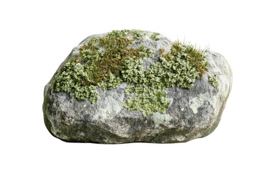 Fototapeta premium A detailed shot of a small stone with green lichen growth presenting rich textures and natural environmental beauty