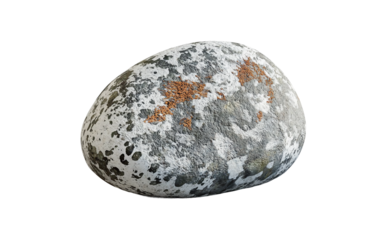 Ultra realistic image of a smooth stone coated in lichen displaying the beauty of natural outdoor elements