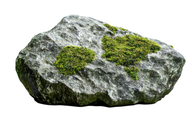 Closeup view of a moss-covered rock highlighting organic growth patterns and the beauty of natural outdoor environments