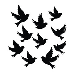 Obraz premium Flock of Black Bird Silhouettes Flying birds