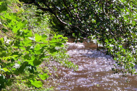 The Lugton Water flows through Eglinton Country Park in North Ayrshire, Scotland, UK. forming a key feature of the historic estate with its weirs, pools, trails, offering walking, cycling, wildlife. 