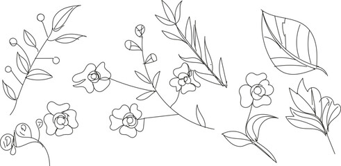 Handdrawn floral elements