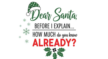 Image with festive text "Dear Santa, before I explain, how much do you know already?" Green hat, snowflake and holly. Christmas, question, playful tone