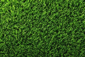 Close-up texture of vibrant green grass blades showcasing natural variations in length and shape for a fresh, lively outdoor aesthetic. Perfect for nature and gardening enthusiasts