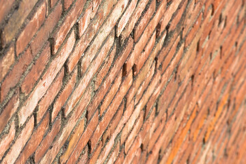 Old weathered brick wall with damaged bricks - shallow depth of field concept - Shooting point from above