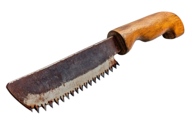 Detailed view of a professional handsaw used for precise woodworking and carpentry