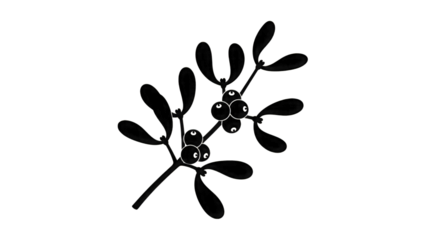Mistletoe branch with berries outline isolated on a transparent background
