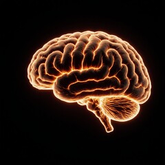 Fototapeta premium A glowing brain with fiery orange lines tracing its intricate contours illuminates a dark backdrop