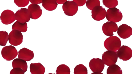 Valentine's Day red rose petals frame on a transparent background, PNG image, PNG file