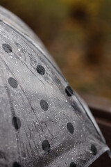 Dark polka dot umbrella covered in raindrops held outdoors on a cloudy day