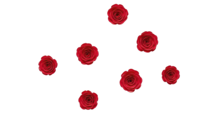 Seven Red Roses Scattered on a Transparent Background PNG Image