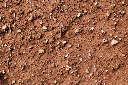 vista macro di un terreno naturale morbido e di color marrone-rosso, composto da terra umida e piccoli pezzi di roccia