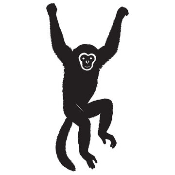Lively monkey swinging freely with arms raised high in motion.