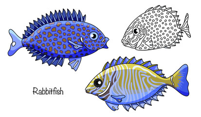 Rabbitfish