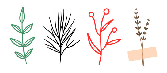 Illustration of four different types of plants with leaves and flowers in various colors