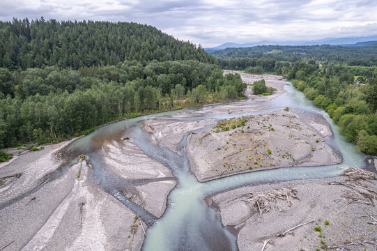 Aerial view of the Carbon River's braided channels carving through the gravelly riverbed, framed by dense green forests under a cloudy sky, Orting, Washington, United States.