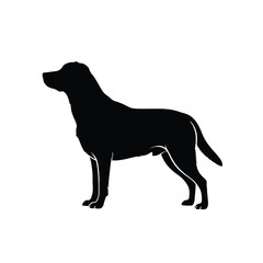 A striking silhouette of a labrador retriever in a side profile pose