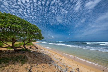 Nukoli'i Beach on Kauai, HI