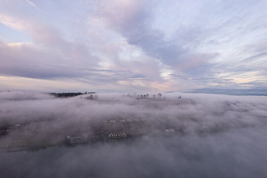 Aerial view of fog blanketing the city, partially obscuring buildings and trees under a pastel sky, Tacoma, Washington, United States.