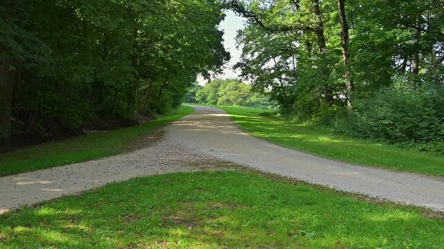 Ein ruhiger Waldweg mit Weggabelung umgeben von gr&uuml;nen B&auml;umen und sanftem Licht, Walhalla, Donaustauf, Regensburg, Bayern, Deutschland, Europa