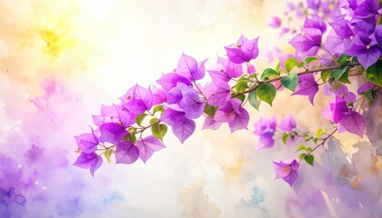 Purple bougainvillea flowers on blurred background vibrant purple bougainvillea flowers against soft bokeh