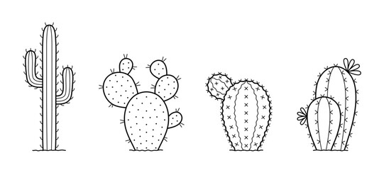 Set of cactus. Collection of various spiny desert plants or cacti with thorns. Doodle sketch style. Isolated vector illustration.