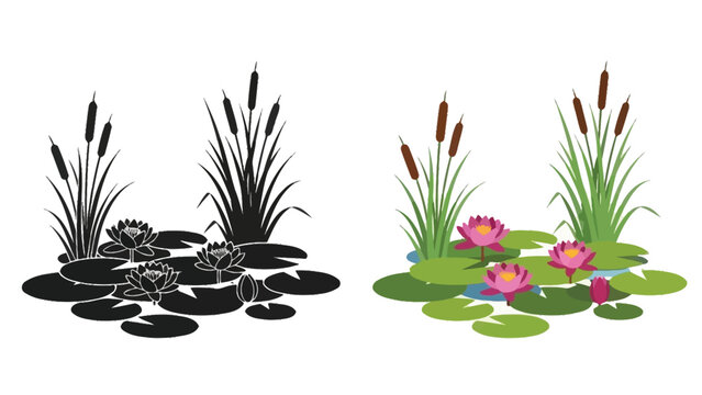 Stylized illustration depicting water lilies and cattails in color and monochrome