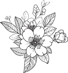 Quince flower coloring pages, Quince flower drawing, flower cluster drawing, Cute flower coloring pages, illustration vector art, black Quince flower tattoo anti-stress coloring page 