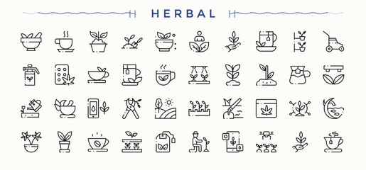 Herbal modern icon set. Organic icon set. Icons for UI design. Contain linear sign leaf, organic, spice, herbs and more. Editable stroke. Vector collection.