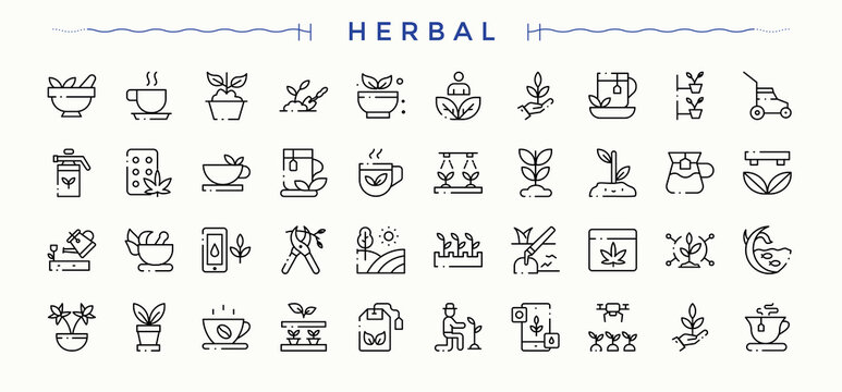 Herbal modern icon set. Organic icon set. Icons for UI design. Contain linear sign leaf, organic, spice, herbs and more. Editable stroke. Vector collection.