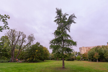 Mendelssohn-Bartholdy-Park, in Berlin