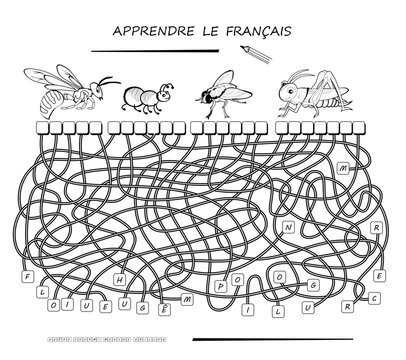 LEARN FRENCH. Educational page for children. Logic puzzle with insects to learn French. Find correct places for letters, write them and read the words. Hand drawn vector black and white illustration.