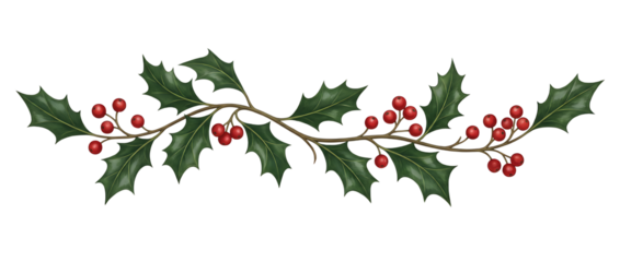PNG Holly christmas pattern plant.