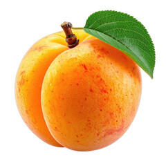 A vibrant, freshly picked apricot with a green leaf against a stark black background.