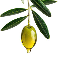 Close-up of a single, glowing green olive transforming into golden oil dripping against a black background.