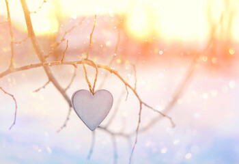 decorative wooden heart hanging on tree close up, abstract gentle light nature background. magic...