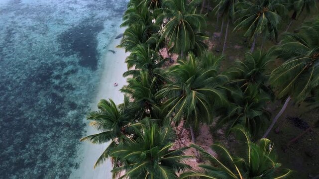 Beautiful tropical island with white sand and beaches surrounded by crystal clear blue water in Palawan, Philippines, South East Asia