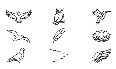 Fototapeta premium Set of bird and feather icons, including eagle, owl, hummingbird, seagull, and dove