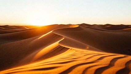Sweeping golden dunes with long shadows, sculpted by desert winds