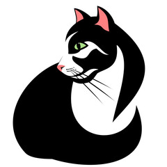 black and white cat with curled tail
