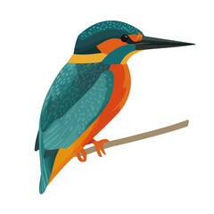 Clean 2D flat vector depiction of a Kingfisher, designed in minimalist modern style with white background.