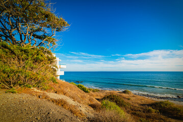 Vegetation and blue sea in California coastline