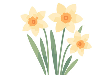 Flat style daffodil flowers with green leaves on a white background