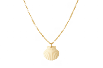 Golden chain necklace with seashell pendant on transparent background
