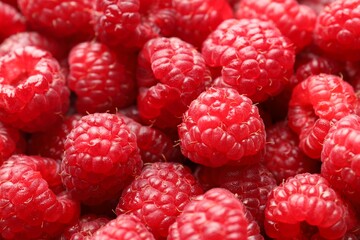 Fresh ripe raspberries as background, closeup view