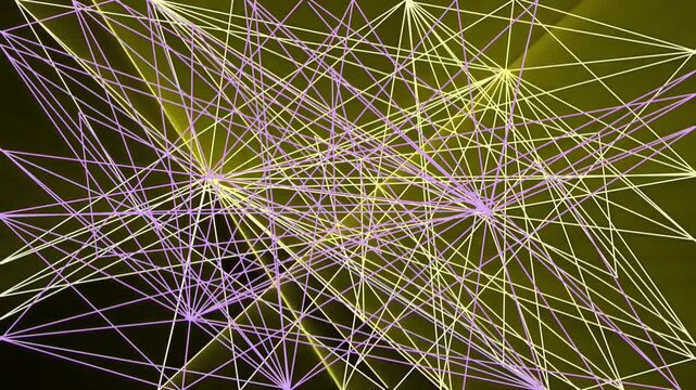 cactus in the desert