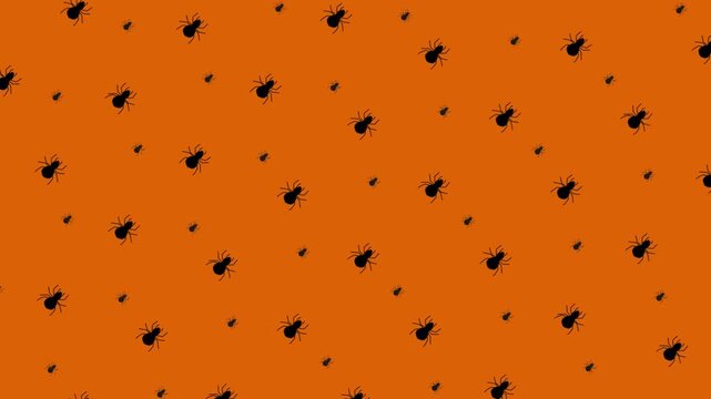 Halloween pattern with spiders on orange background design