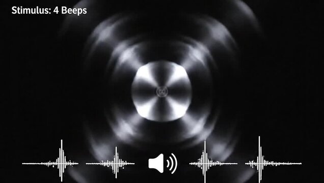 Auditory stimulus representation: A graphic representation of an auditory stimulus, featuring four beeps visualized through waveform displays and concentric circles