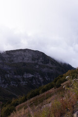 Misty Mountain Scene, Quiet Mountain Slope Cloaked In Clouds With Rocky Features And Dense Shrubbery